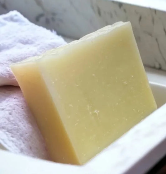 Shampoo and Conditioner Bar