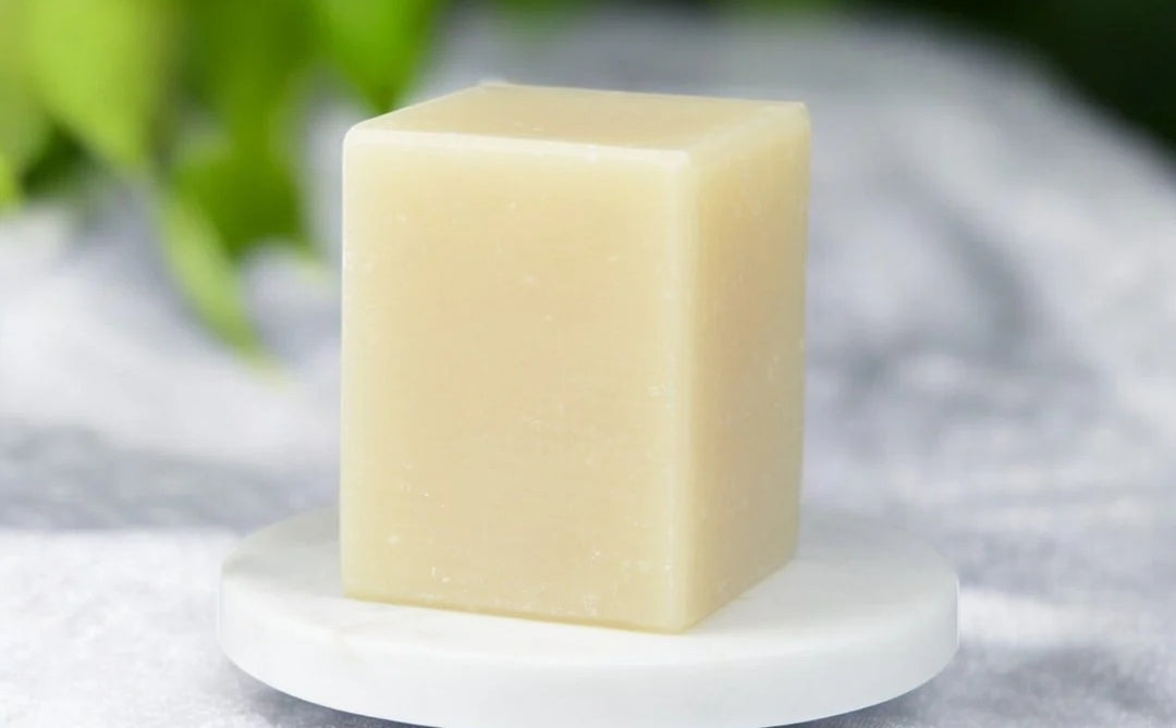 Shampoo and Conditioner Bar